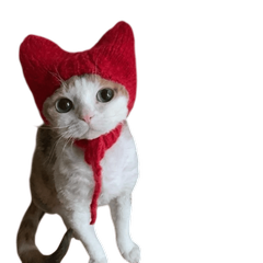 Котик в красной шапочке